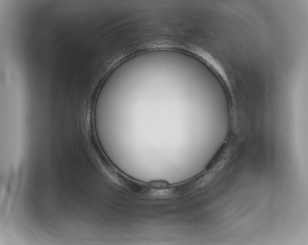 X0000112530057200908171153