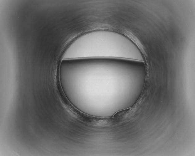 X0000112530058200908171153