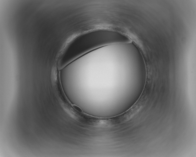 X0000112530060200908171153