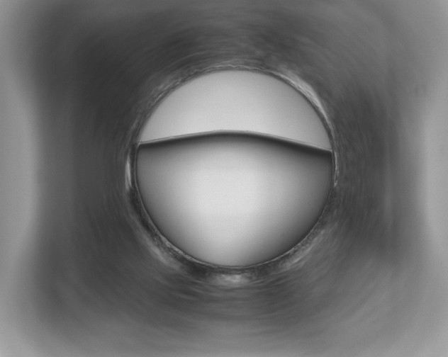 X0000112530061200908171153