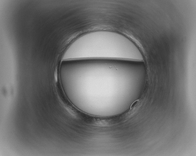 X0000112530062200908171153