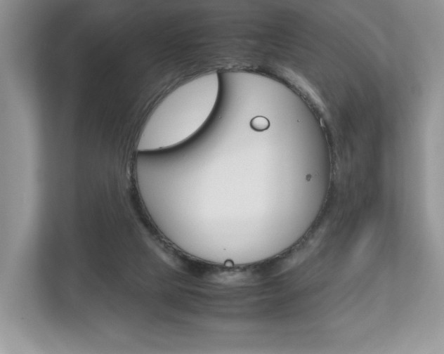 X0000112530065200908171153