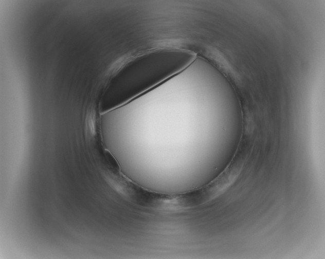 X0000112530068200908171153