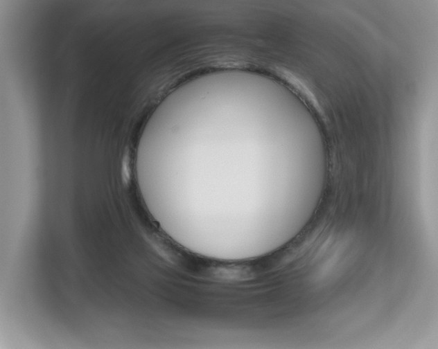 X0000112530069200908171153