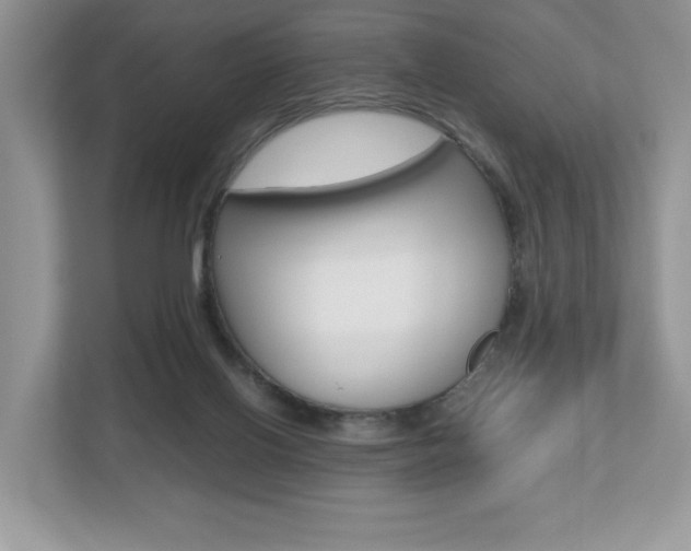 X0000112530070200908171153