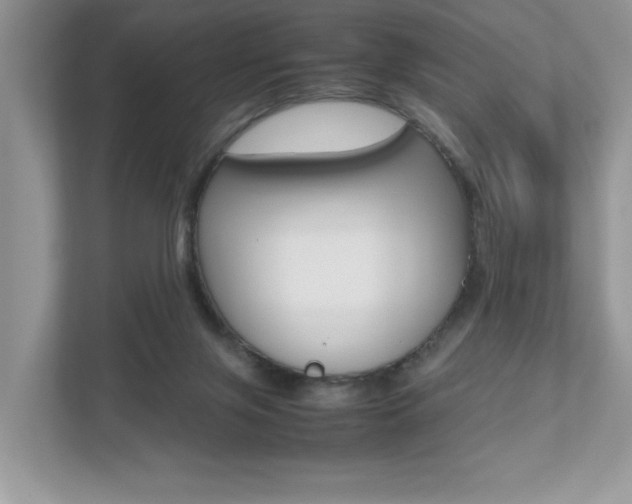 X0000112530071200908171153
