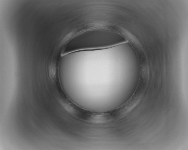X0000112530072200908171153