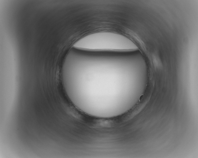 X0000112530073200908171153
