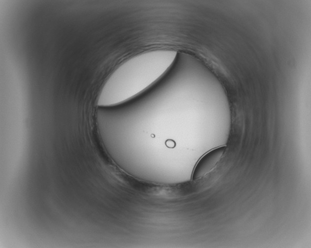 X0000112530074200908171153