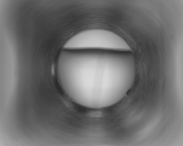 X0000112530075200908171153