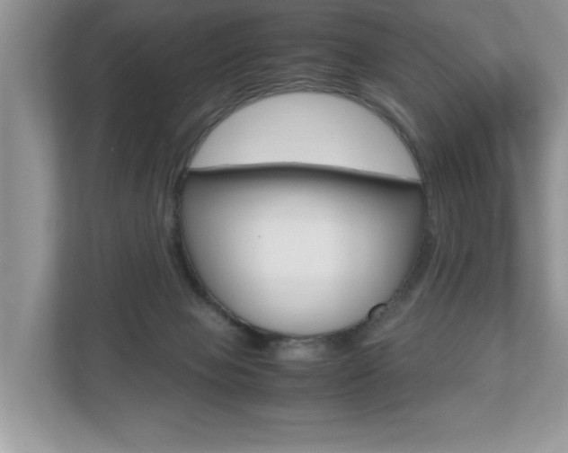 X0000112530077200908171154