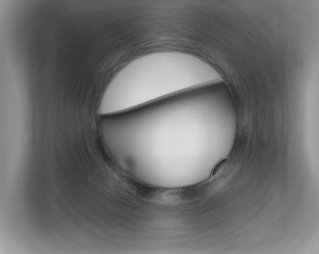 X0000112530078200908171154