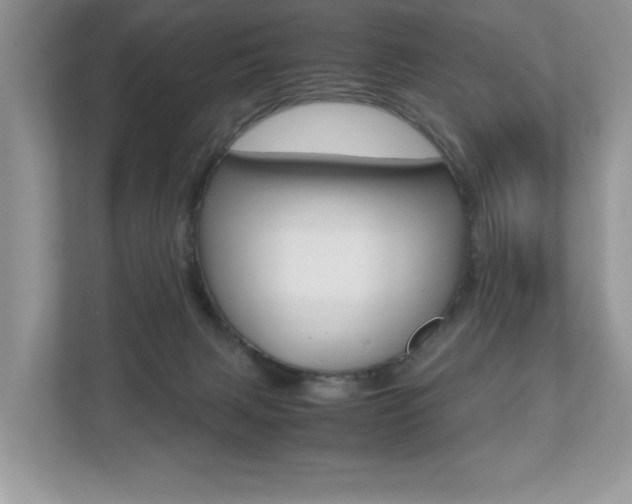 X0000112530079200908171154
