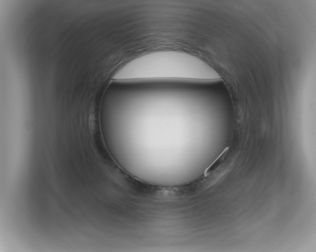 X0000112530080200908171154