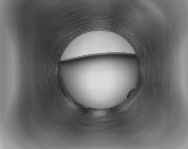 X0000112530085200908171154