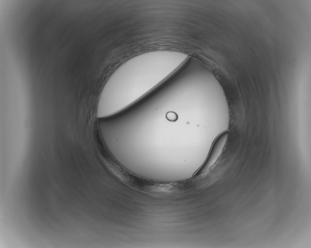 X0000112530086200908171154