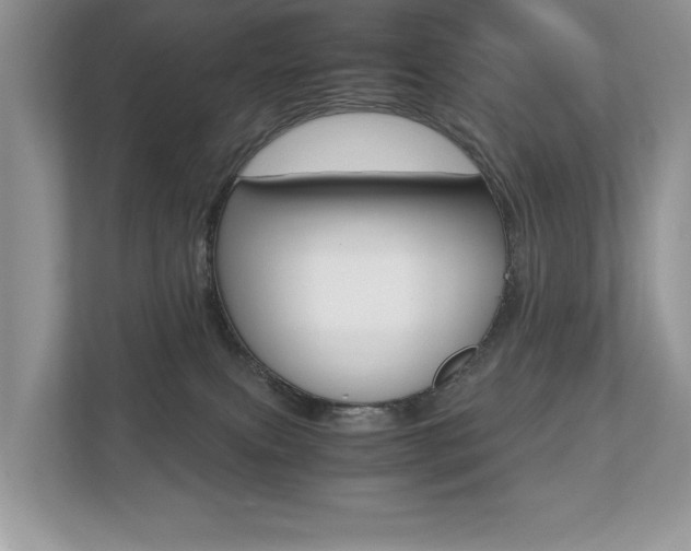 X0000112530087200908171154