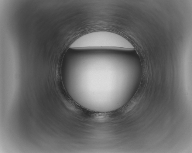 X0000112530088200908171154