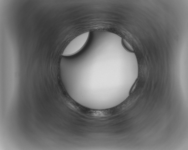 X0000112530091200908171154