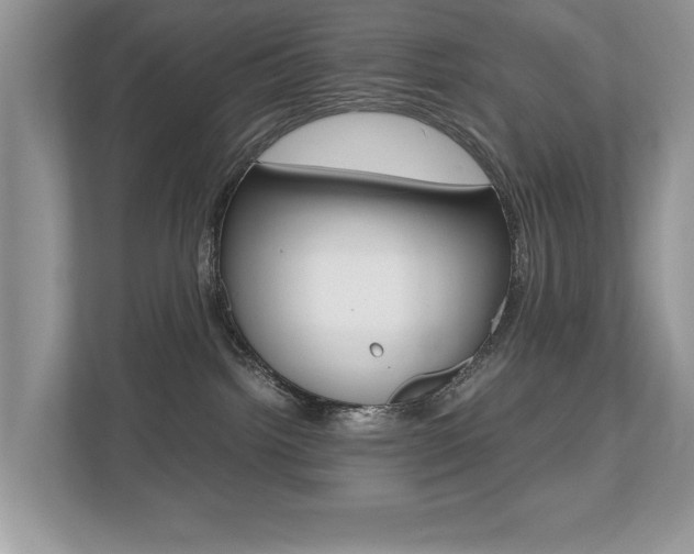 X0000112530092200908171154