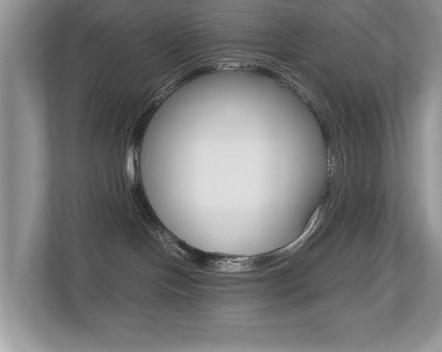 X0000112530094200908171154