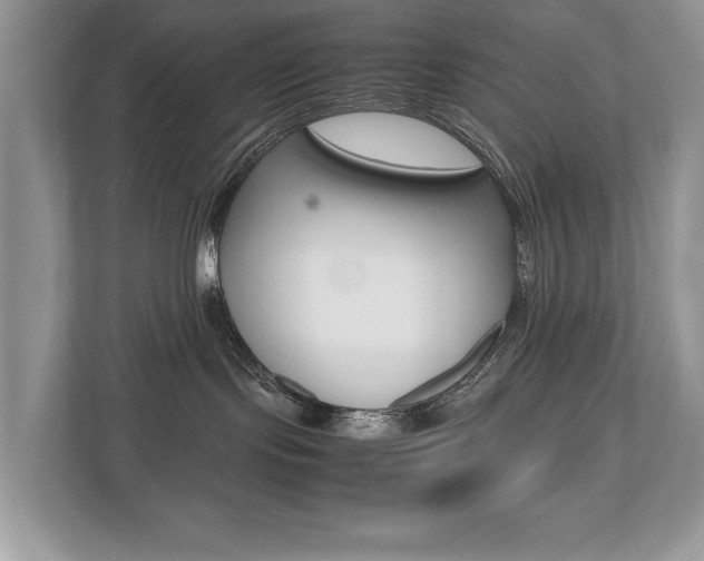 X0000112530095200908171154