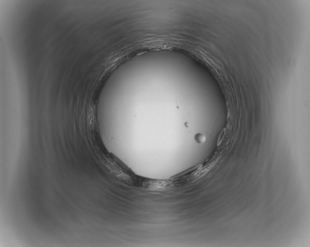 X0000112530096200908171154