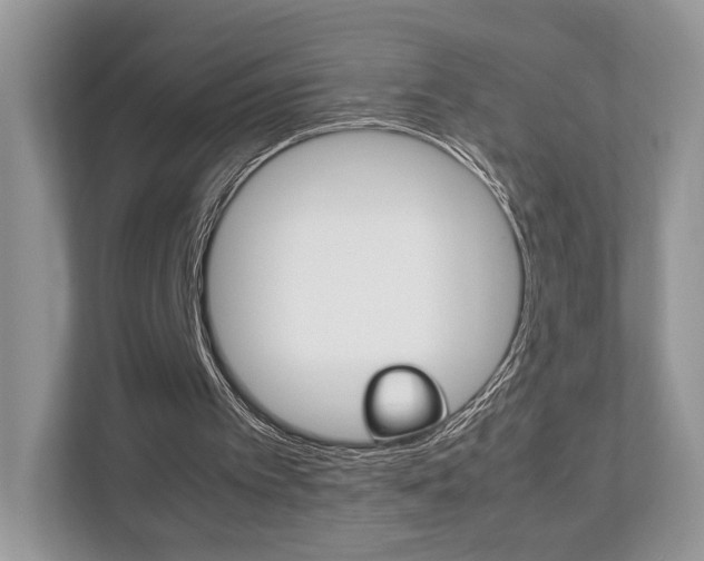 X0000112530097200908171153