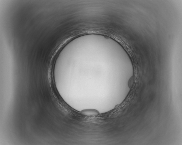 X0000112530098200908171153
