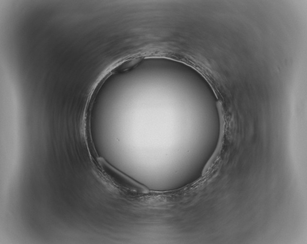 X0000112530100200908171153