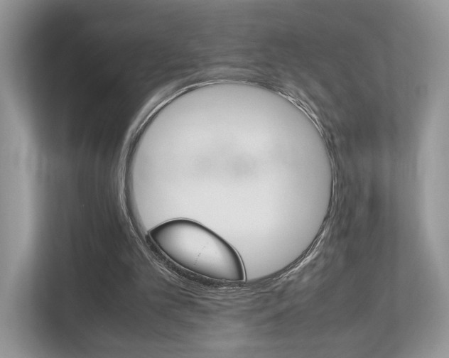 X0000112530101200908171153