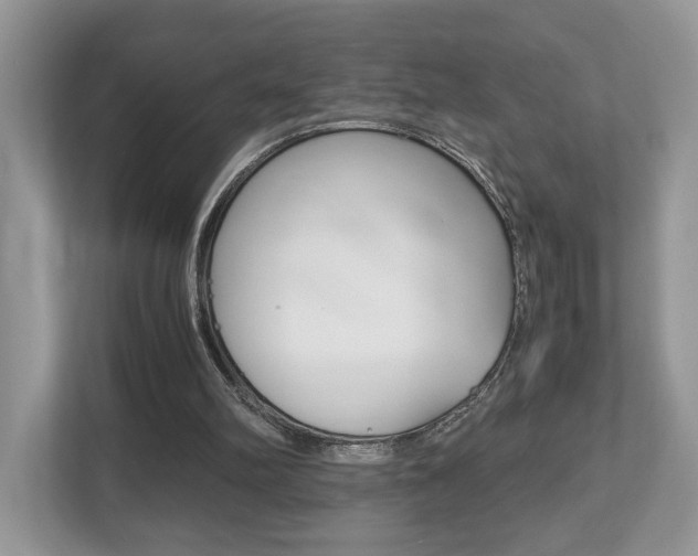 X0000112530102200908171153