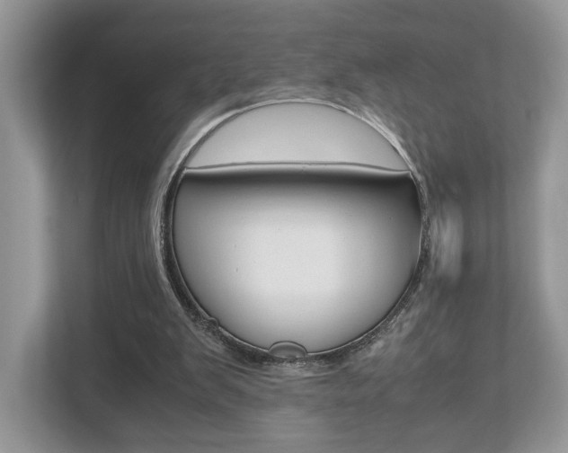 X0000112530103200908171153