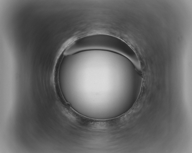 X0000112530104200908171153
