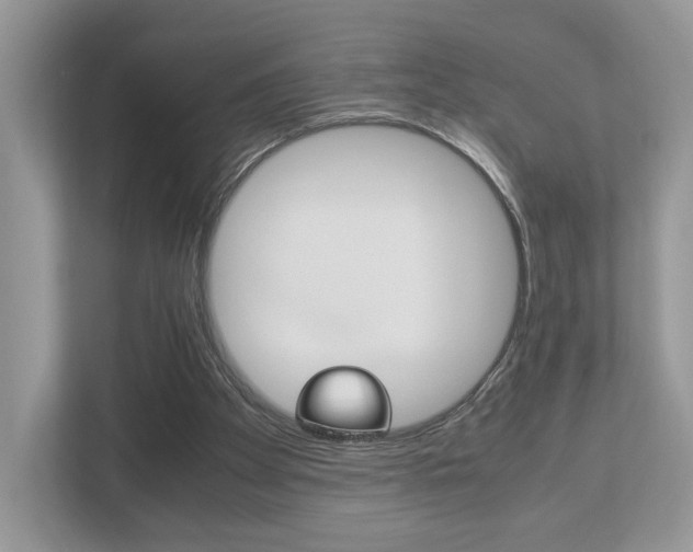 X0000112530105200908171153