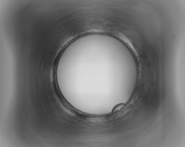 X0000112530106200908171153