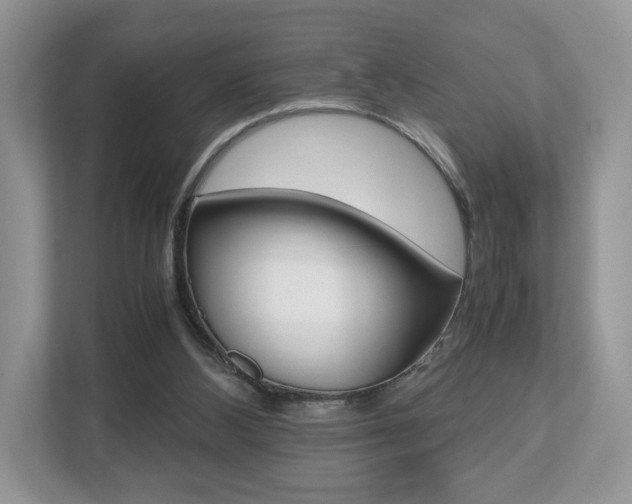 X0000112530108200908171153