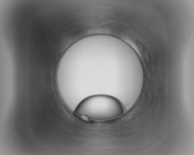 X0000112530109200908171153