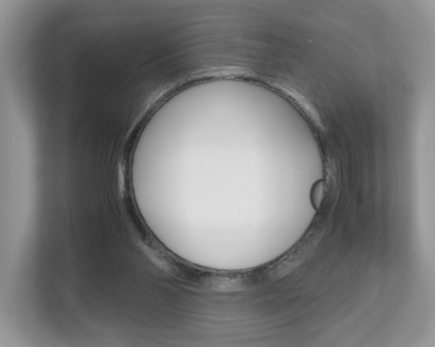 X0000112530110200908171153