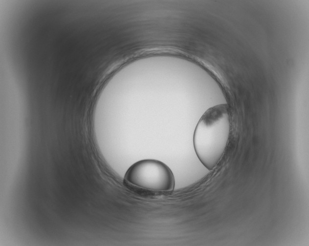 X0000112530111200908171153