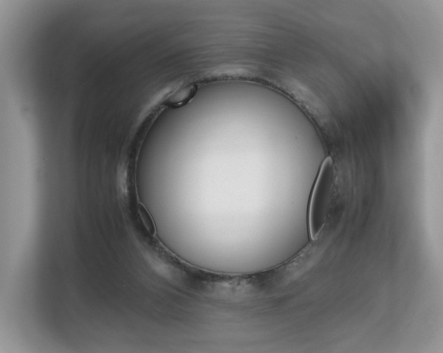 X0000112530112200908171153