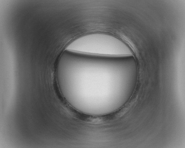 X0000112530113200908171153