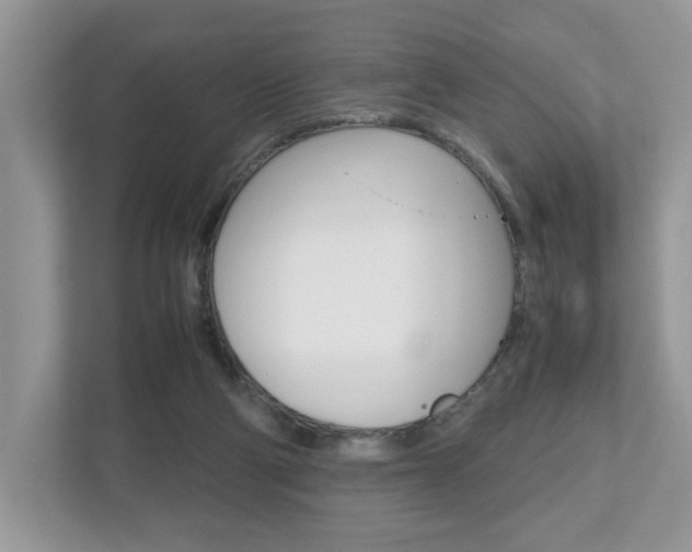 X0000112530114200908171153