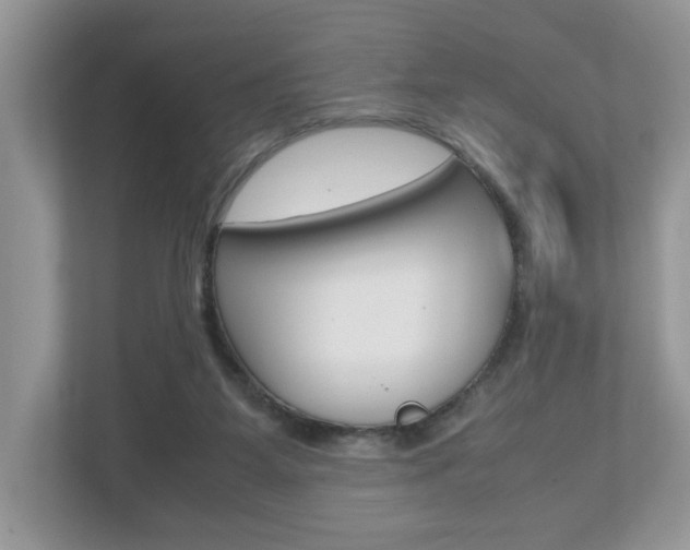 X0000112530115200908171153