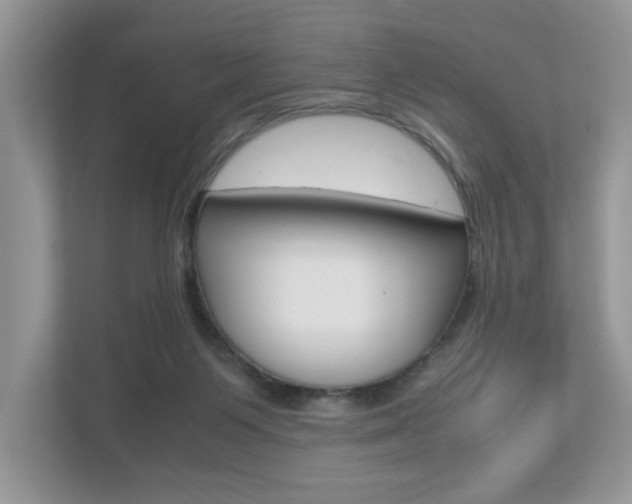 X0000112530119200908171153