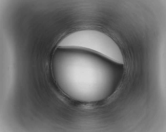 X0000112530120200908171153