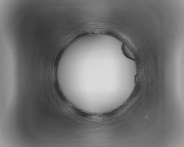 X0000112530121200908171153