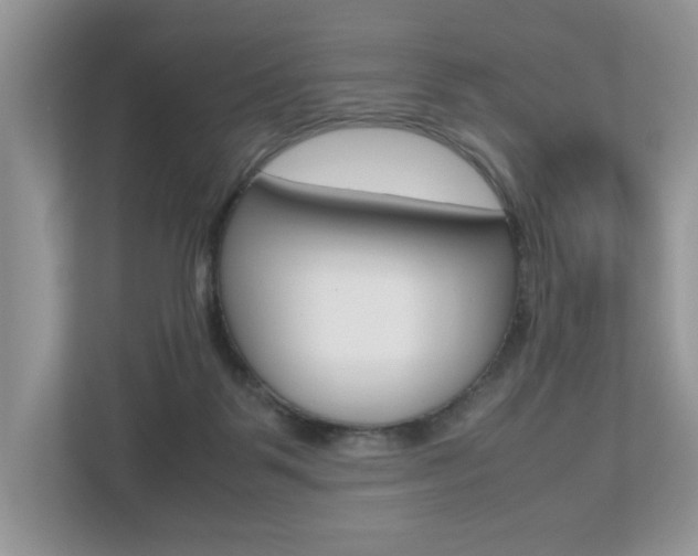 X0000112530123200908171153