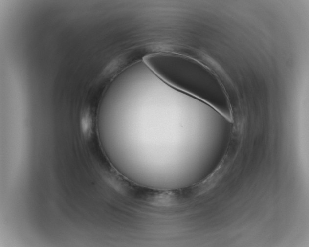 X0000112530124200908171153