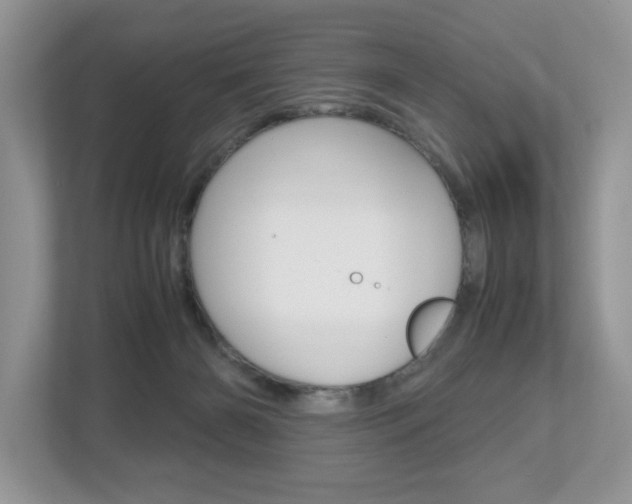X0000112530126200908171153